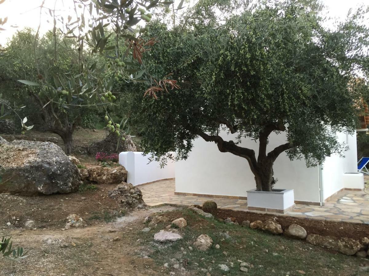 Ferienhaus Olive Garden Kipariszía Kültér fotó